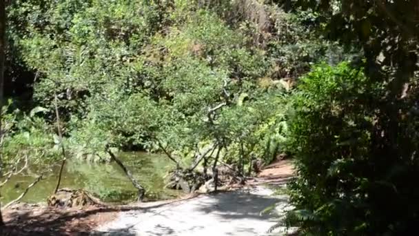 La route. La nature dans un jardin .