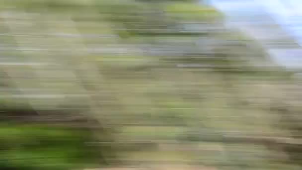 Natura Movimento Veloce Della Macchina Fotografica Effetto Uno Sfondo — Video Stock