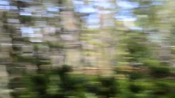 Natura Movimento Veloce Della Macchina Fotografica Effetto Uno Sfondo — Video Stock