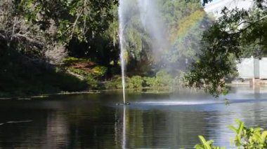 Çeşmenin üstünde gökkuşağı. Orlando, ABD 'de çıkarılır. SeaWorld Parkı. Orlando, ABD. SeaWorld, memelilerin, okyanusların, deniz hayvanlarının ve lunaparkların olduğu bir deniz parkı..