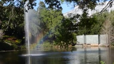 Orlando, ABD. SeaWorld, memelilerin, okyanusların, deniz hayvanlarının ve lunaparkların olduğu bir deniz parkı..