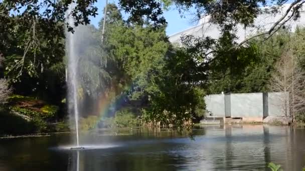 アメリカのオーランド シーワールドは 哺乳類の公園 水族館 海の動物の公園や遊園地を含む海の公園です — ストック動画