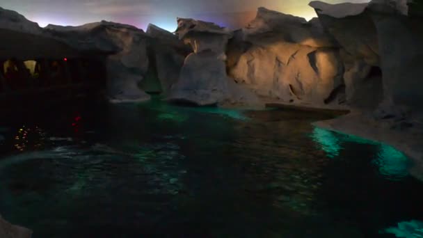 Unterwasserwelt Der Arktis Orlando Usa Seaworld Ist Ein Meerespark Mit — Stockvideo