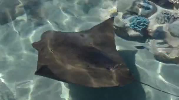 À la recherche d'une pente dans un réservoir naturel 