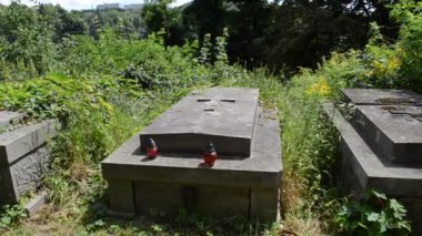 Mezarlıktaki anıtlar. Lviv, Ukrayna. Lychakovsky Mezarlığı, Ukrayna 'nın en eski mezarlarından biri olan Lychakov' un tarihi bölgesi Lviv 'deki tarihi ve anıtsal (1991' den beri) bir mezarlıktır..