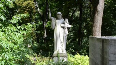 Ağaçlara karşı çapraz. Lviv, Ukrayna. Lychakovsky Mezarlığı, Ukrayna 'nın en eski mezarlarından biri olan Lychakov' un tarihi bölgesi Lviv 'deki tarihi ve anıtsal (1991' den beri) bir mezarlıktır..