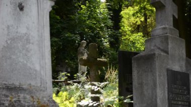 Mezarlıkta mezarlar. Lviv, Ukrayna. Lychakovsky Mezarlığı, Ukrayna 'nın en eski mezarlarından biri olan Lychakov' un tarihi bölgesi Lviv 'deki tarihi ve anıtsal (1991' den beri) bir mezarlıktır..
