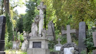Mezarlıkta haçlar. Lviv, Ukrayna. Lychakovsky Mezarlığı, Ukrayna 'nın en eski mezarlarından biri olan Lychakov' un tarihi bölgesi Lviv 'deki tarihi ve anıtsal (1991' den beri) bir mezarlıktır..