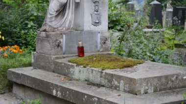 Mezarlıktaki mezar taşları. Lviv, Ukrayna. Lychakovsky Mezarlığı, Ukrayna 'nın en eski mezarlarından biri olan Lychakov' un tarihi bölgesi Lviv 'deki tarihi ve anıtsal (1991' den beri) bir mezarlıktır..