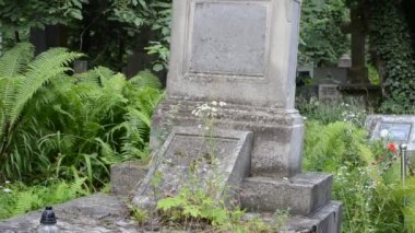 Ağaçlara karşı heykel. Lviv, Ukrayna. Lychakovsky Mezarlığı, Ukrayna 'nın en eski mezarlarından biri olan Lychakov' un tarihi bölgesi Lviv 'deki tarihi ve anıtsal (1991' den beri) bir mezarlıktır..