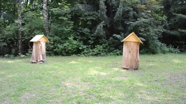 Das Modell Ein Bienenstock Für Bienen Stadt Lviv Park — Stockvideo