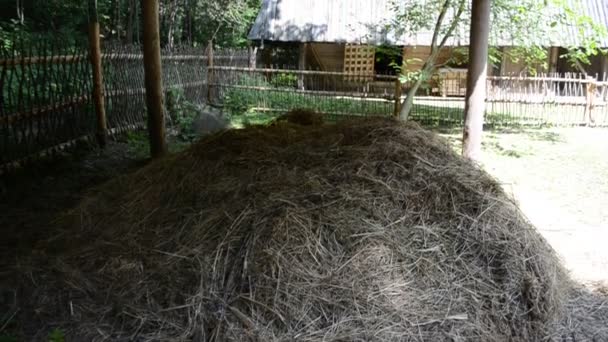 Rural Areas Canopy Hay Storage Lviv Ukraine — Stock Video