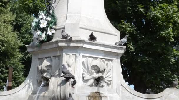 Lviv Europa Lviv Oekraïne Standbeeld Van Maagd Maria Lviv Oekraïne — Stockvideo