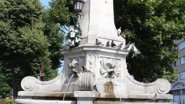 리비우에 마리아의 우크라이나 리비우에 동정녀 마리아의 리비우 Lviv 갈리시아의 역사적 — 비디오