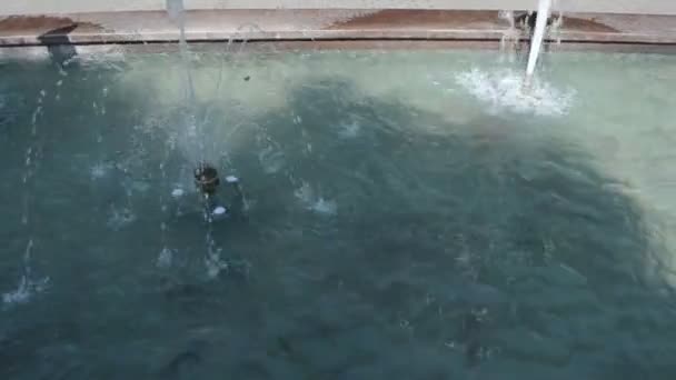 噴水撮影 ウクライナのリヴィウ 噴水撮影 夏の撮影 — ストック動画