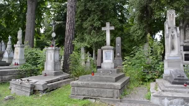 Tombe Cimitero Leopoli Ucraina Lychakovsky Cimitero Proprietà Commemorativa Storica Commemorativa — Video Stock