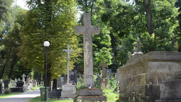 Cruzes Cemitério Lviv Ucrânia Lychakovsky Cemitério Propriedade Comemorativa Histórica Comemorativa — Vídeo de Stock