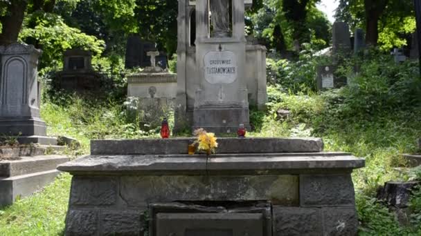 Pietre Tombali Cimitero Leopoli Ucraina Lychakovsky Cimitero Proprietà Commemorativa Storica — Video Stock