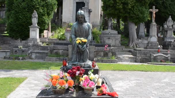 Hermoso Monumento Lviv Ucrania Lychakovsky Cementerio Histórico Memorial Finca Desde — Vídeo de stock