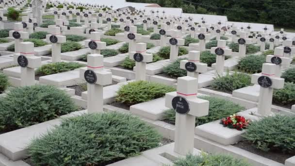 Cimitero Militare Polacco Del Periodo 1918 1920 Leopoli Ucraina Lychakovsky — Video Stock