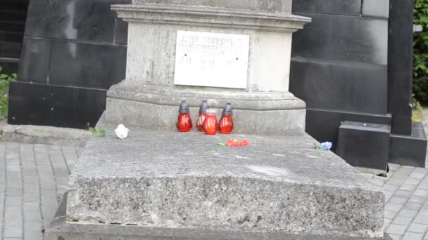 Homme Deux Filles Lviv Ukraine Cimetière Lychakovsky Monument Historique Mémorial — Video