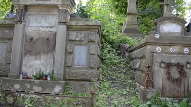 Criptas Antiguas Lviv Ucrania Lychakovsky Cementerio Histórico Memorial Finca Desde — Vídeo de stock
