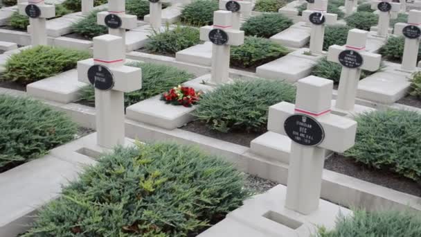 1918 1920 Yılları Arasında Polonya Askeri Mezarlığı Lviv Ukrayna Lychakovsky — Stok video