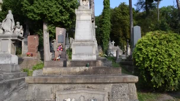 带着孩子的女人靠在木头上利沃夫 乌克兰 Lychakovsky坟场 Lychakovsky Cemetery 是乌克兰历史上最古老的坟场之一 — 图库视频影像