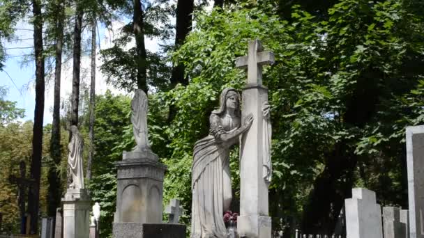 Tumbas Cementerio Lviv Ucrania Lychakovsky Cementerio Histórico Memorial Finca Desde — Vídeos de Stock