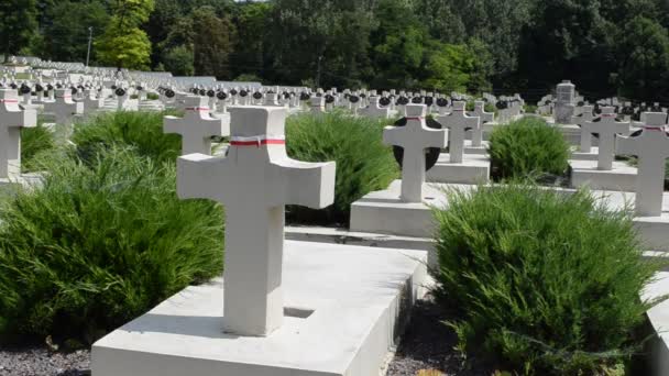 Польское Военное Кладбище 1918 1920 Годов Львов Украина Лычаковское Кладбище — стоковое видео