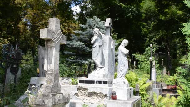 Mezarlıkta Mezarlar Lviv Ukrayna Lychakovsky Mezarlığı Ukrayna Nın Eski Mezarlarından — Stok video
