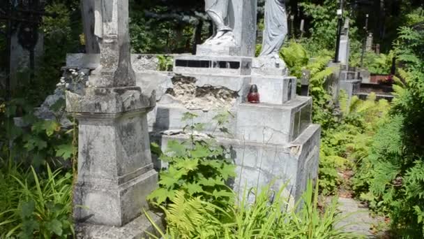 Escultura Cementerial Lviv Ucrania Lychakovsky Cementerio Histórico Memorial Finca Desde — Vídeo de stock