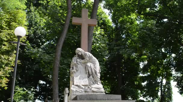 Monumento Cementerio Lviv Ucrania Lychakovsky Cementerio Histórico Memorial Finca Desde — Vídeos de Stock