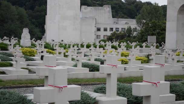Cementerio Militar Polaco Lviv Ucrania Lychakovsky Cementerio Histórico Memorial Finca — Vídeo de stock