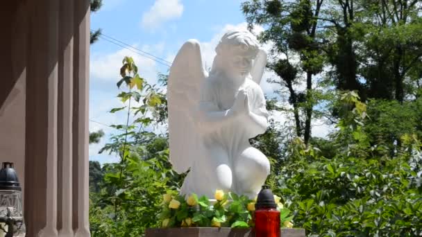 Ángel Con Alas Lviv Ucrania Lychakovsky Cementerio Histórico Memorial Finca — Vídeo de stock