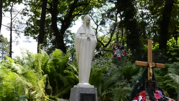 Cruces Cementerio Lviv Ucrania Lychakovsky Cementerio Histórico Memorial Finca Desde — Vídeo de stock