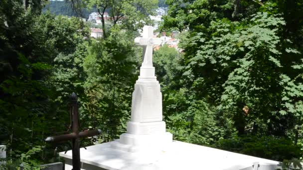 Estátua Contra Árvores Lviv Ucrânia Lychakovsky Cemitério Propriedade Comemorativa Histórica — Vídeo de Stock