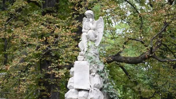 Kyrkogårdsskulptur Lviv Ukraina Lychakovsky Kyrkogård Den Historiska Och Minnesmärke Egendom — Stockvideo