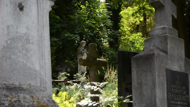 Túmulos Num Cemitério Lviv Ucrânia Lychakovsky Cemitério Propriedade Comemorativa Histórica — Vídeo de Stock