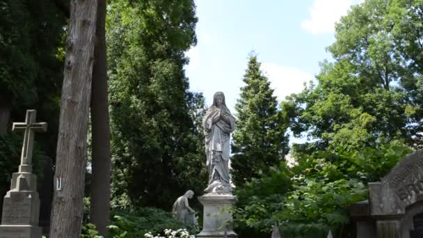 Denkmäler Und Wind Lemberg Ukraine Lytschakowski Friedhof Der Historische Gedenkort — Stockvideo