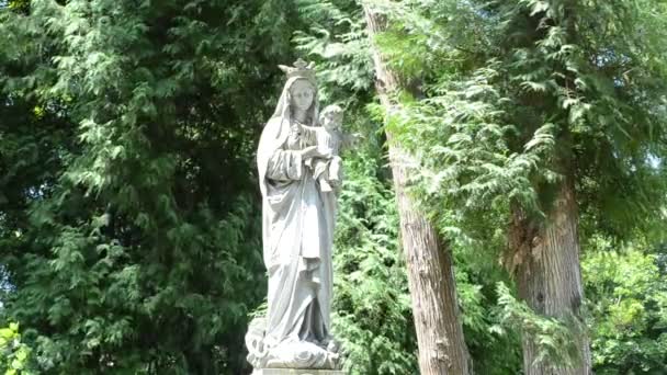 Mujer Con Bebé Lviv Ucrania Lychakovsky Cementerio Histórico Memorial Finca — Vídeos de Stock