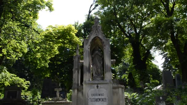 Monumento Contra Árvores Lviv Ucrânia Lychakovsky Cemitério Propriedade Comemorativa Histórica — Vídeo de Stock