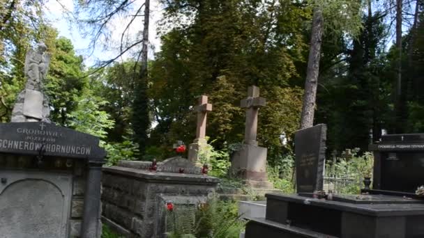 Forntida Begravningar Lviv Ukraina Lychakovsky Kyrkogård Den Historiska Och Minnesmärke — Stockvideo