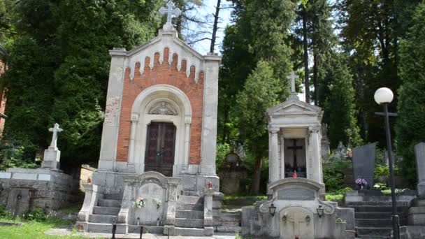 Lychakiv Cemitério Lviv Lviv Ucrânia Lychakovsky Cemitério Propriedade Comemorativa Histórica — Vídeo de Stock