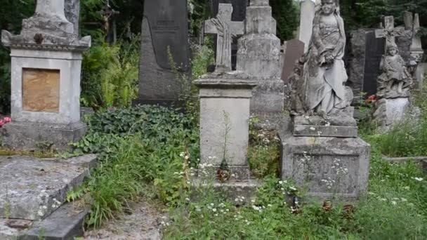 Estátua Forma Anjo Lviv Ucrânia Lychakovsky Cemitério Propriedade Comemorativa Histórica — Vídeo de Stock