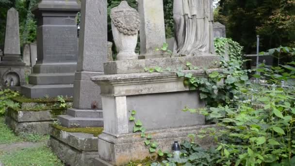 Lápidas Cementerio Lviv Ucrania Lychakovsky Cementerio Histórico Memorial Finca Desde — Vídeos de Stock