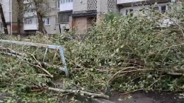Gale. Evler ve ağaçlar. Ağaçlar kökleriyle sökülür..