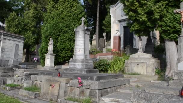 Ancienne Vue Sur Cimetière Lychakivskyj Ville Lviv Ukraine Cimetière Lychakovsky — Video