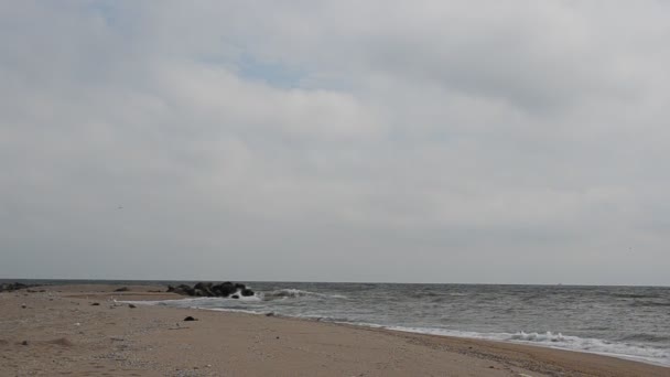 海滩和大海大风很大 — 图库视频影像