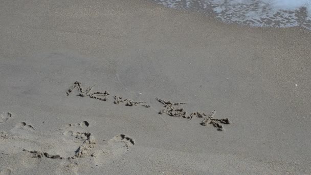 Plajdaki New York Yazıtları Sahildeki New York Yazıtları Bir Dalga — Stok video